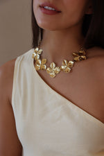 ROBE ISIA